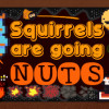 Games like Squirrels are going nuts