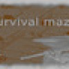 Games like Survival Maze