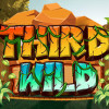 Games like Third Wild