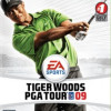 Games like Tiger Woods PGA Tour 09