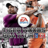 Games like Tiger Woods PGA Tour 13