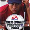Games like Tiger Woods PGA Tour 2004
