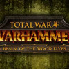 Games like Total War: Warhammer - Realm of the Wood Elves