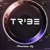 Games like Tribe XR | DJ Academy