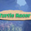 Games like Turtle Racer