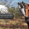 Games like Unbridled: That Horse Game