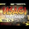 Games like Usagi Yojimbo: Way of the Ronin