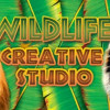 Games like Wildlife Creative Studio