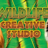 Games like Wildlife Creative Studio